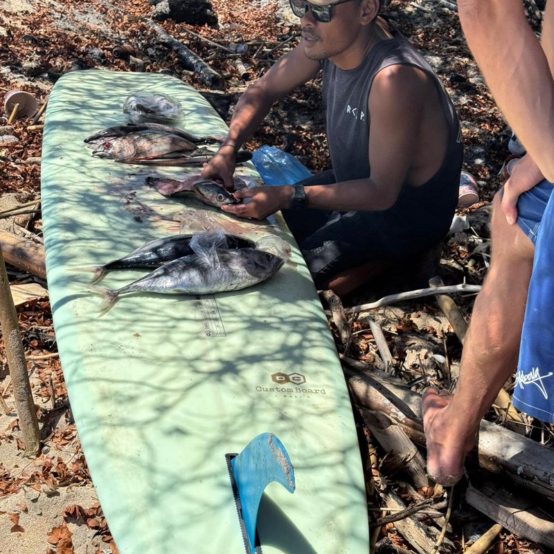 The morning's catch laid out on a board on the beach