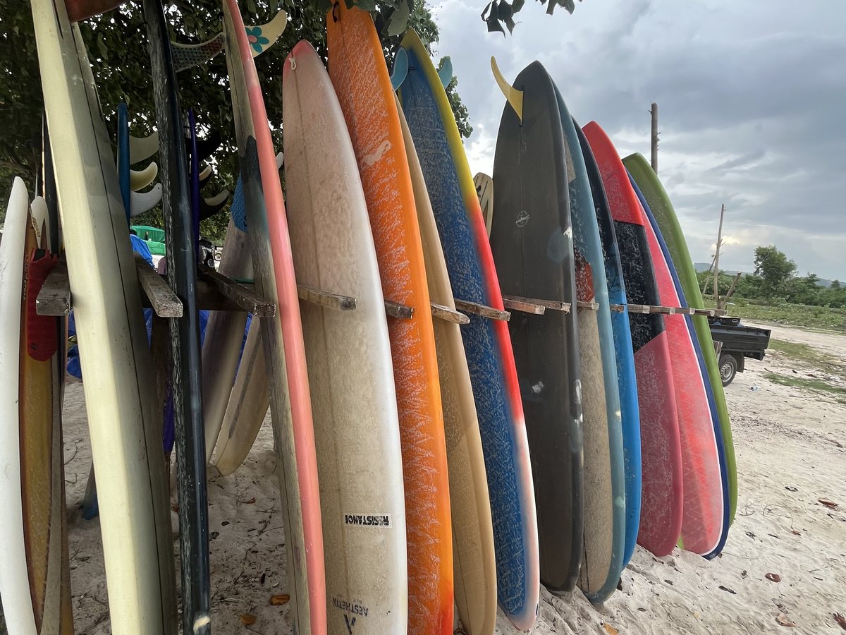 The rental rack: longboards, fishes and shortboards standing in a row on the sand